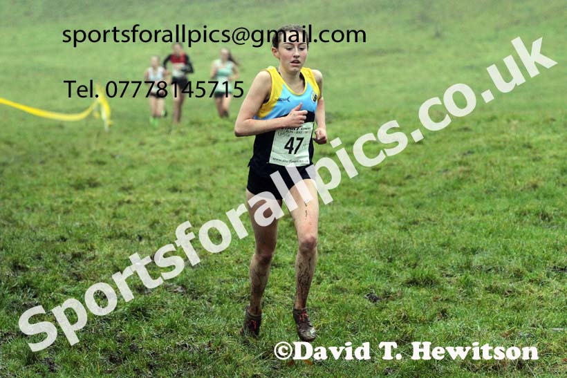 Girls under-15s, NECAA Junior Cross Country Relays, Thornley Farm, Peterlee, Saturday, December 12th. Photo: David T. Hewitson/Sports for All Pics